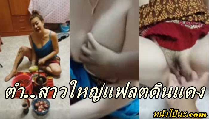 เสียวหี เย็ดไทย เย็ดเมียชาวบ้าน เย็ดเจ๊ เย็ดสาวใหญ่
