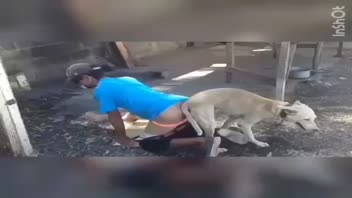 โรคจิต แอ่นตูด แตกในตูด เล่นกับหมา เย็ดประตูหลัง