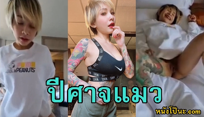 โยกควย โชว์หี แหกหี เสียวหี เย็ดโชว์